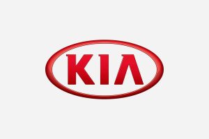 Kia Cluster Repair